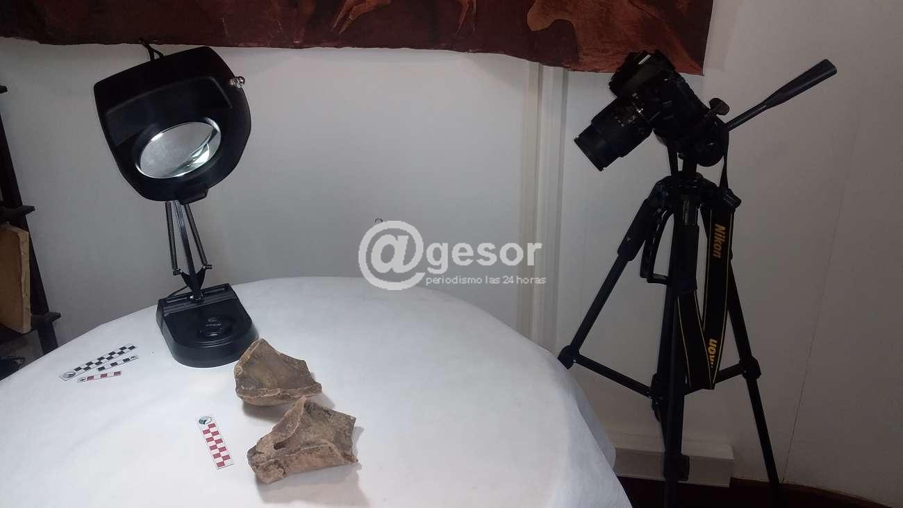 Image2